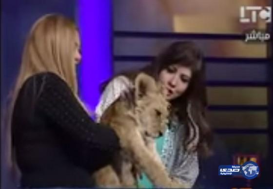 بالفيديو: تلتقط سيلفي مع أسد على الهواء‎