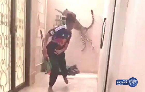بالفيديو: نمر يهاجم رجلًا داخل منزله