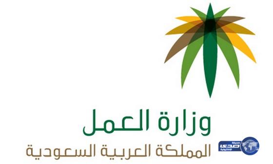 وزارة العمل تنهي مراجعة مسودة تقرير المدى المتوسط بمشاركة 28 جهة حكومية