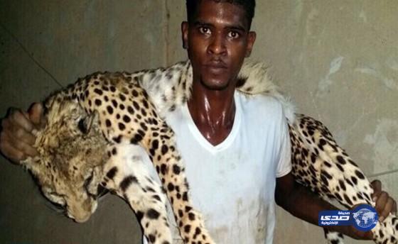 شاب يقتل فهد مفترس يهاجم “الركوبه” بجازان