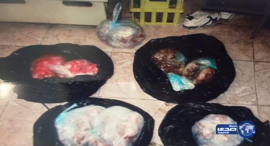 بلدية طبرجل تصادر 2 طن مواد غذائية فاسدة