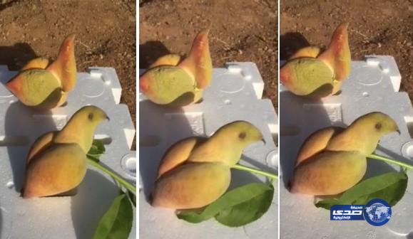 بالفيديو: ثمرة خوخ على شكل عصفور بمزرعة في تبوك
