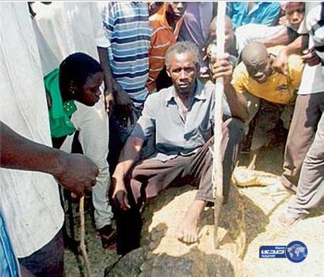 فلاح يقتل تمساحاً عملاقاً التهم زوجته الحامل