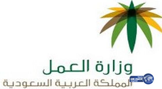 ( العمل ) تعيد رسم خارطة استقدام العمالة المنزلية بضوابط وإجراءات جديدة‎