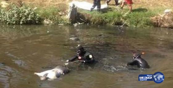 أنقذ جاموسته وغرق فى النيل