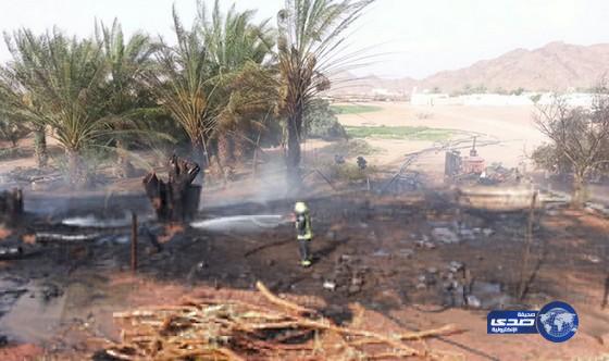 إخماد حريق اندلع في أشجار بقرية “توارن” بمنطقة حائل