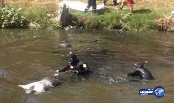 مصري أنقذ جاموسته وغرق فى النيل