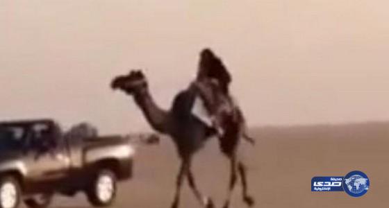بالفيديو:سقوط فتاة كويتية من أعلى ظهر جمل