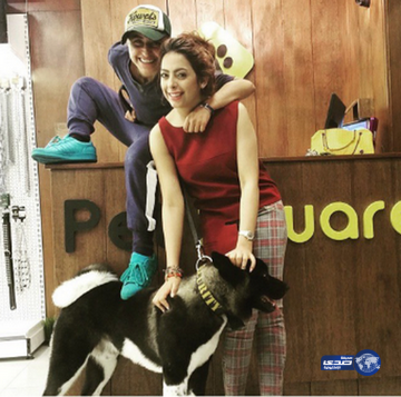 شلون الكلب متحملهم..