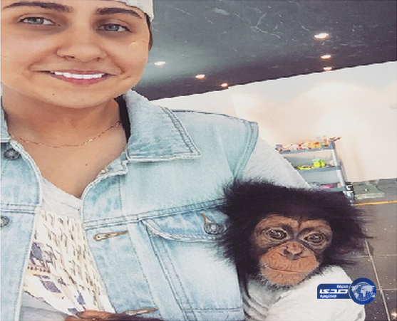 لايكون القرد خايف ..