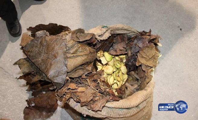 إحباط تهريب 17.280 كجم من «القورو» بجمرك البطحاء