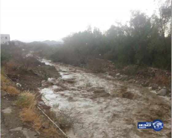 هطول ٲمطار على محافظة ٲضم وضواحيها‎(صور)