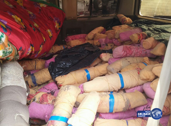 رغم استحداثهم أساليب مبتكرة.. يقظة رجال الأمن تحبط تهريب كميات من القات ببلغازي