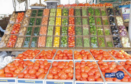 أسعار الخضراوات تقفز 50 في المئة على رغم وفرة المعروض