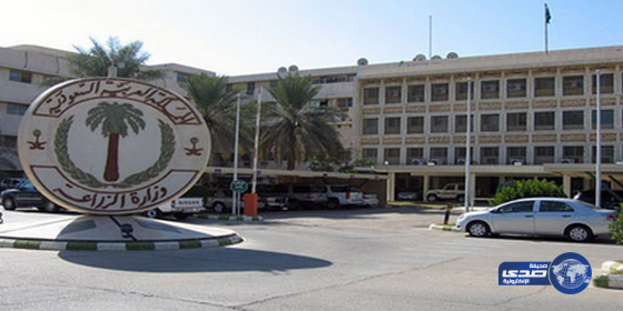 «الزراعة» : قريباً حل مشكلة ارتفاع أسعار الأعلاف