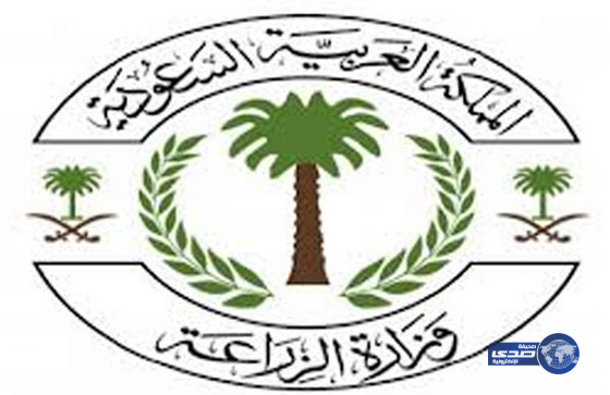 ” الزراعة ” تسمح باستيراد الماشية الحية من الصومال عبر محجر « المتحد»
