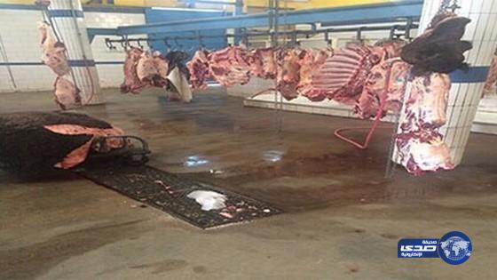 امانة منطقة نجران اغلاق احد المسالخ الكبرى بحي ابالسعود‎