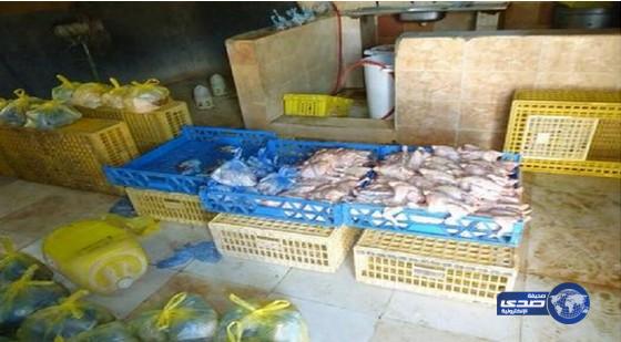 أمانة نجران تغلق مسلخًا مخالفًا للاشتراطات الصحية