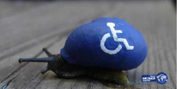 فنان بريطاني يرسم على قواقع الحلازين لينقذها