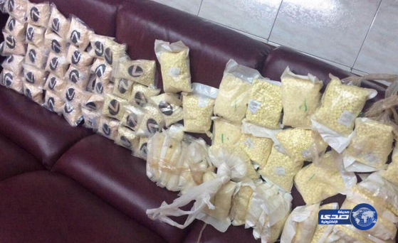 حرس الحدود بتبوك يحبط تهريب مخدرات وضعت على جمل‎(صور)