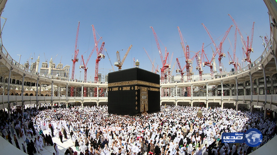 (900) مرشدة بإدارة التوجيه والإرشاد النسائي بالمسجد الحرام يعملن على راحة الزائرات والمعتمرات