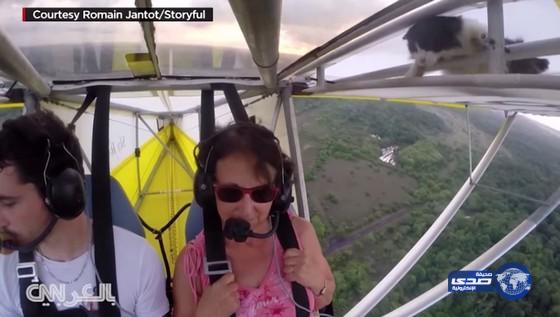 بالفيديو.. ردة فعل لا تُصدق بعد اكتشاف قطة على جناح طائرة محلقة