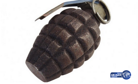 مصرع إرهابي في انفجار قنبلة بمحافظة البحيرة المصرية