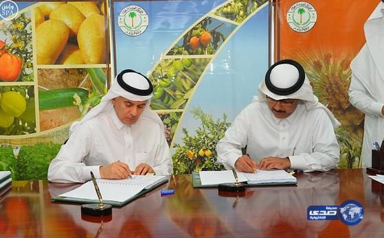 إعادة تأهيل محجر ميناء الملك عبدالعزيز بالشرقية بـ52 مليون ريال