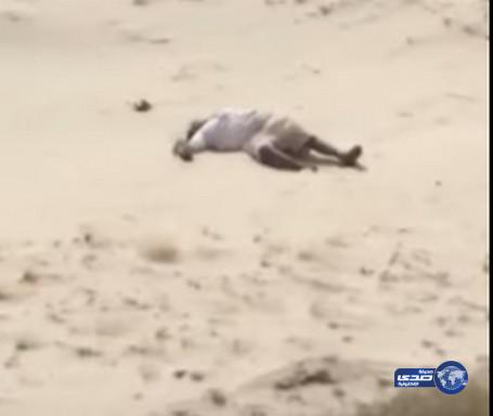بالفيديو: مواطن يعثر على شخص متوفي بأحد المنتزهات