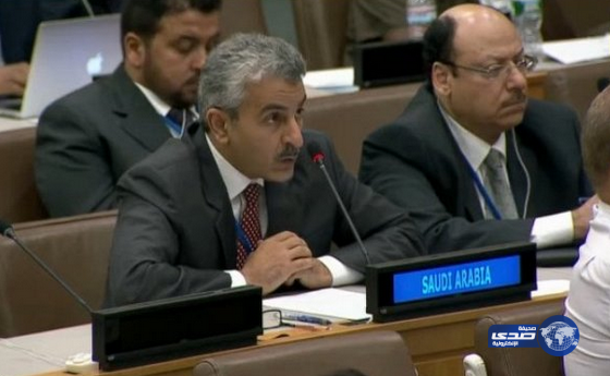 المملكة تشارك في جلسة الاتصال المعنية بمكافحة القرصنة قبالة الصومال