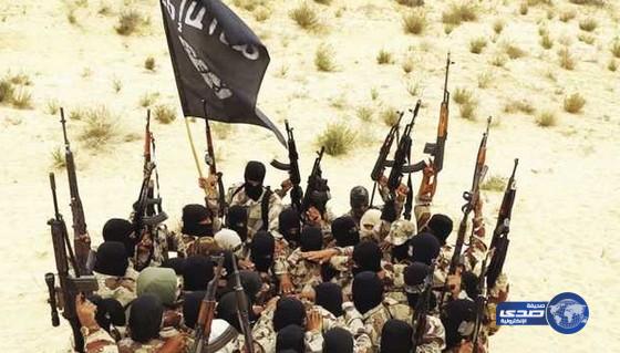 “بيت المقدس” يتبنى انفجار “القنصلية الإيطالية”