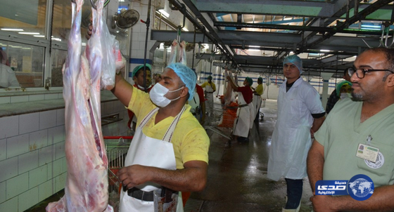 صحة البيئة بأمانة الشرقية تنفذ جولات عشوائية على محلات الأغذية والأنشطة التجارية