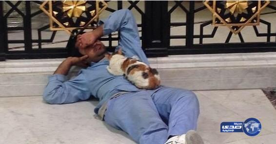 قط ينام بأمان على صدر عامل بالحرم المكي