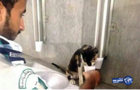 أحد أبناء كشافة جامعة تبوك يسقي قطة قرب الحرم المكي..