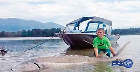 طفل يصطاد سمكة وزنها ربع طن