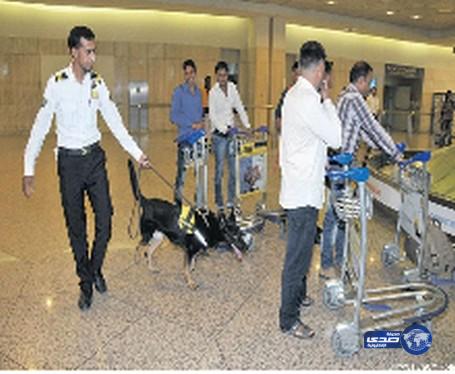 40 فرقة من “الكلاب البوليسية” بمطار الدمام للتصدي لإدخال المخدرات أو المتفجرات