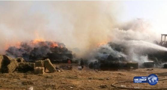 مدني الطائف يخمد حريق أعلاف