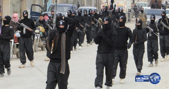 مقتل 25 عنصرًا من تنظيم داعش في الفلوجة