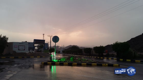 هطول أمطار غزيرة على محافظة العيص(صور)
