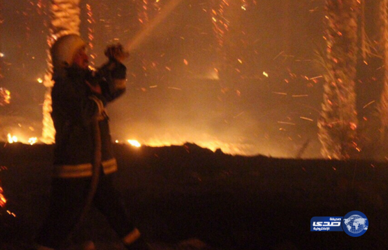 بالصور ثلاث فرق إطفاء وإنقاذ تباشر حريق بعدد من مزارع دومة الجندل‎