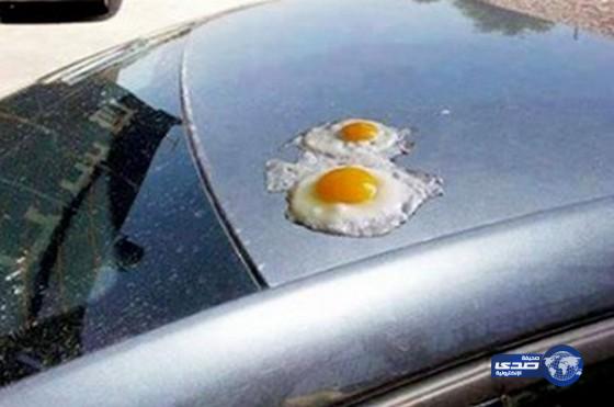 أردني يقلي البيض على سيارته