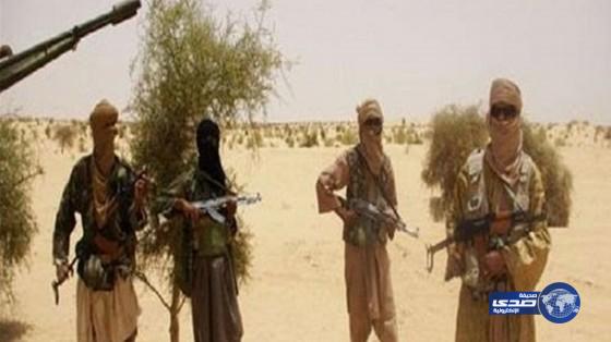 بالفيديو.. ” ولاية سيناء ” تهدد بذبح رهينة كرواتي وتطالب بالإفراج عن السجينات