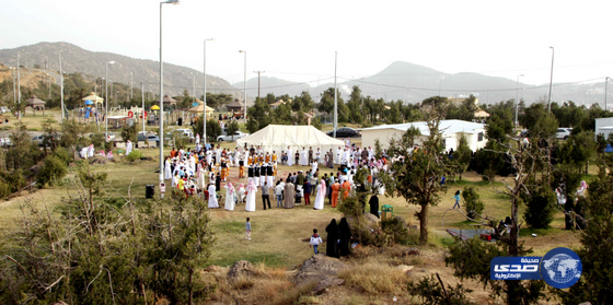 الفرق الشعبية التابعة لوزارة الثقافة والإعلام تختم مشاركتها بصيف الباحة‎