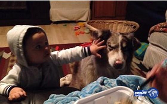 بالفيديو.. كلب ينطق “ماما” من شدة الجوع