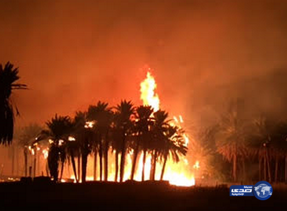مدني الجوف يسيطر على حريق بعدد من المزارع بدومة الجندل‎