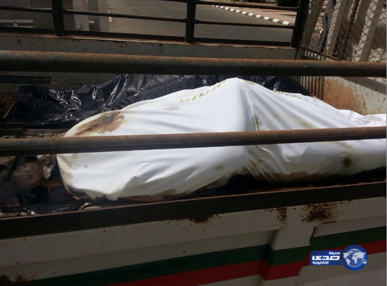 الصحة تحقق في حادثة نقل جثث عبر سيارة دينا بينبع‎