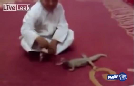 بالفيديو.. ضب ينتقم من طفل اوسعه ضرباً