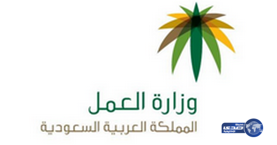 “العمل”: منع إصدار التأشيرات وتجديد رخص العمل لـ19 مهنة وقصرها على المواطنين
