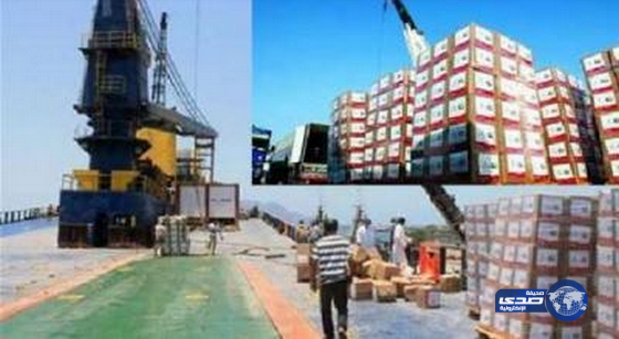 وصول سفينة إغاثة إماراتية إلى عدن