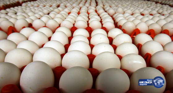 مصادرة 330 ألف بيضة فاسدة في الدمام